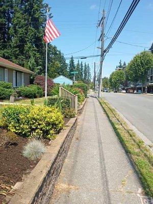 Steve's yard Mountlake Terrace