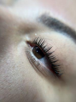 Lash lift