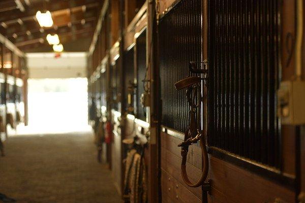 Legacy River Equestrian Center