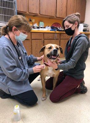 Dr. Boland and Kim with a patient