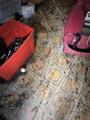 Water Damage on Tile Floor