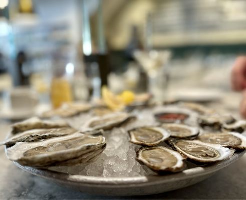 Oysters and Clams