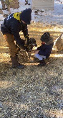 Z helping to harness up the dogs