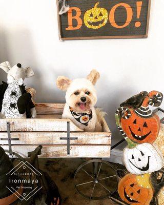 Popeyethefoodie