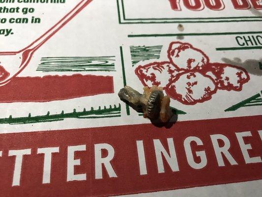 I literally bit down on this screw that was in my pizza.