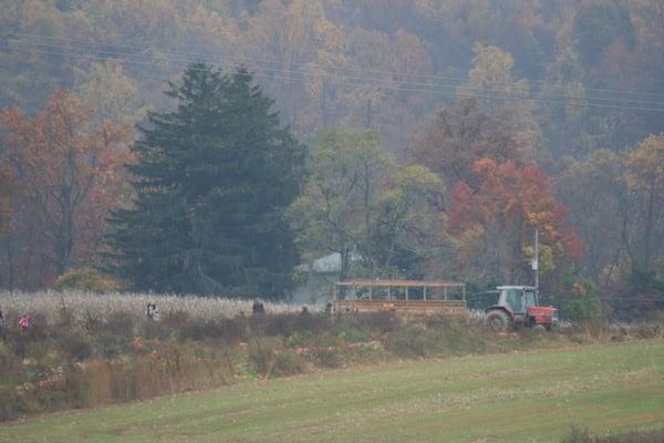 Hayride to the pumpkin patch