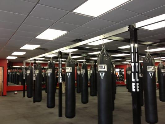 50 Heavy Bags to work out on!!