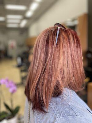 Cut Color Highlight & Blowdry