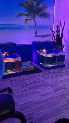 Couples fish tank experience in private room