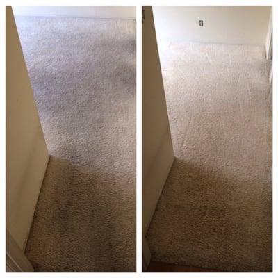 Clean Sense Carpet Cleaners