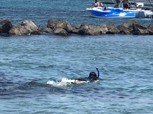 Snorkeling at Peanut Island.