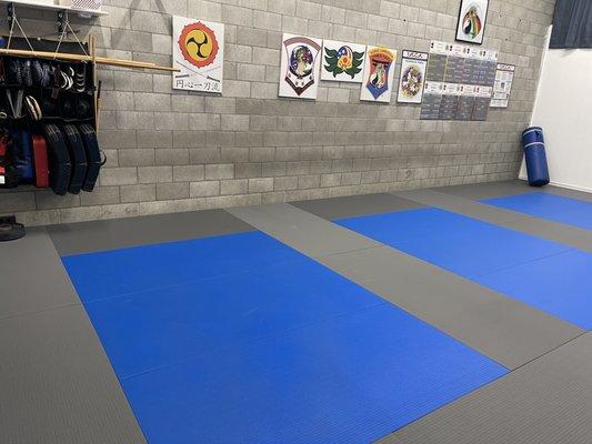 500sq feet of mat space