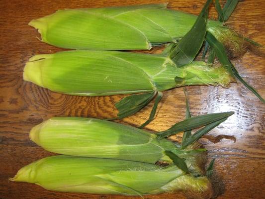 Srybny Farm corn (top) vs Farmers Market corn (bottom)