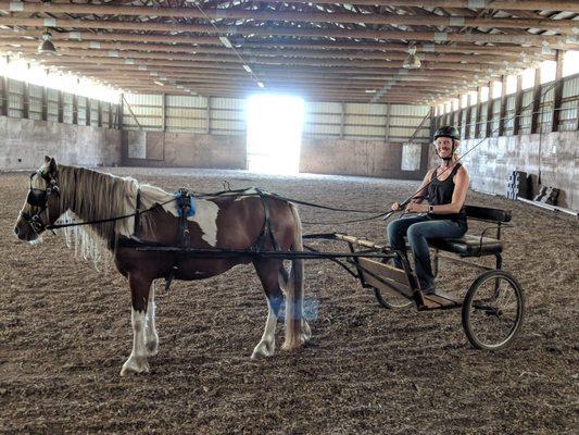 Indoor arena and well trained pony