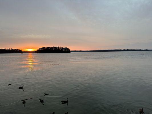 Lake Martin