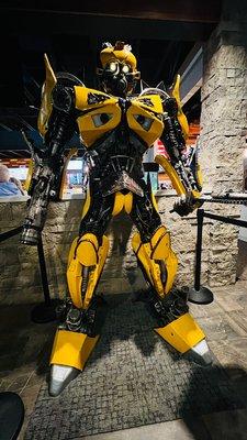 Bumblebee "Pizzaiolo"