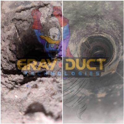 As you spring clean, don't forget about your dryer vent!
Contact us today!
952-486-0079