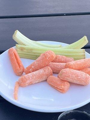 Half of the veggies with our hummus appetizer. Left us concerned about what our main meal would be.