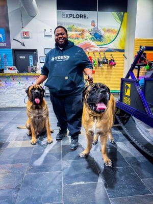 Justin and his Mastiff training buddies