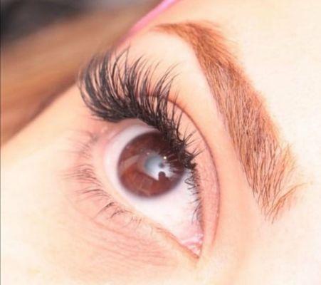 eyelash extension