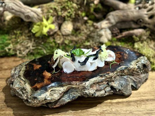 Winter Salad of Twigs and Mushrooms