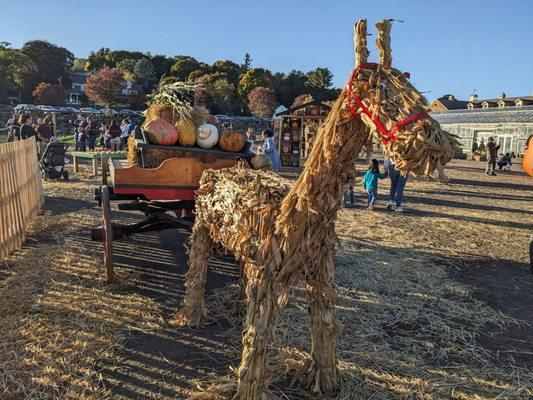 Wilson Farm 10/2024 (pumpkin village)