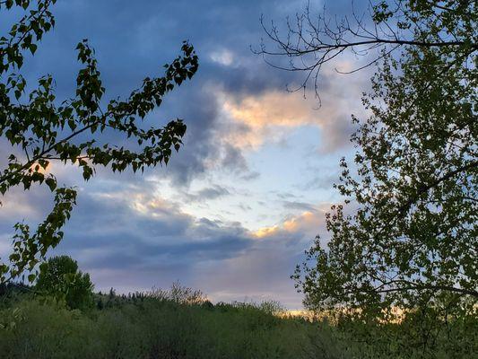 North Creek Trail