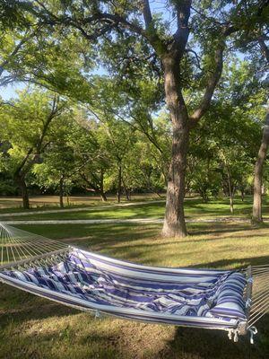 Lots of hammock near the river