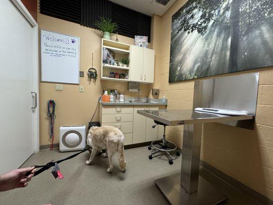 Evergreen Animal Clinic