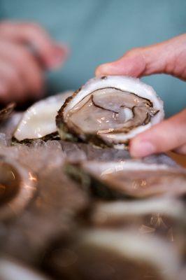 Happy hour Oysters $1.5 each