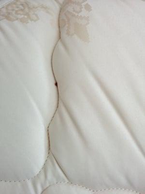 Bed bug on mattress