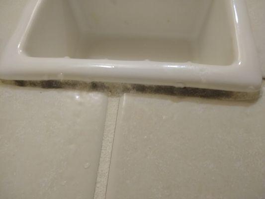 Moldy soap dish in the bathtub