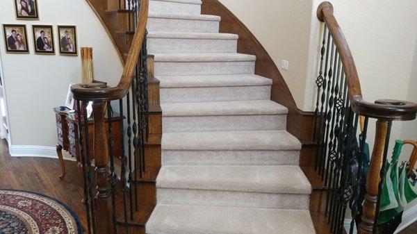 polyester carpeted stairs - dry carpet cleaning results