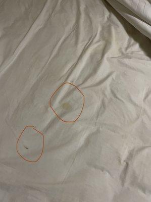 Dirty stained bed sheets