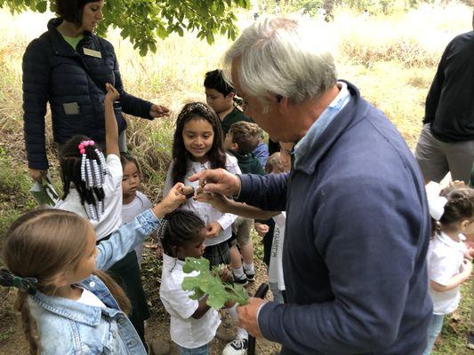 Volunteers are teaching the local school children about trees.