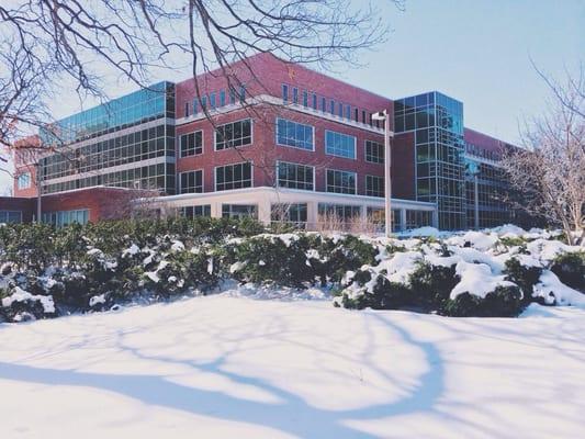 Michigan State University Main Library