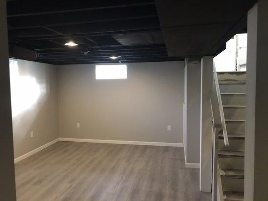 Basement buildout ferndale