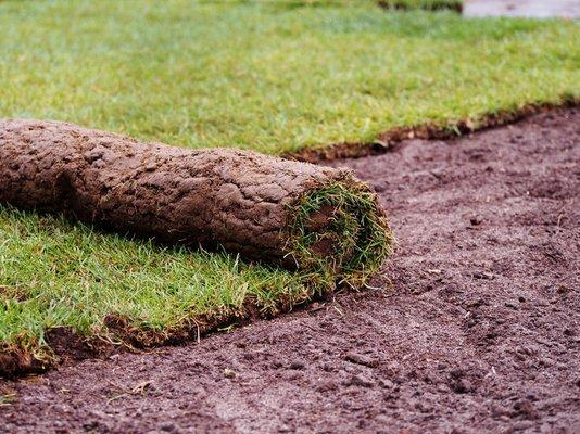 Cypress Lawn Landscape