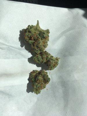 Today's Sativa special: Tangie