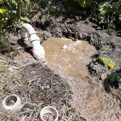 Septic tank sewer line clog