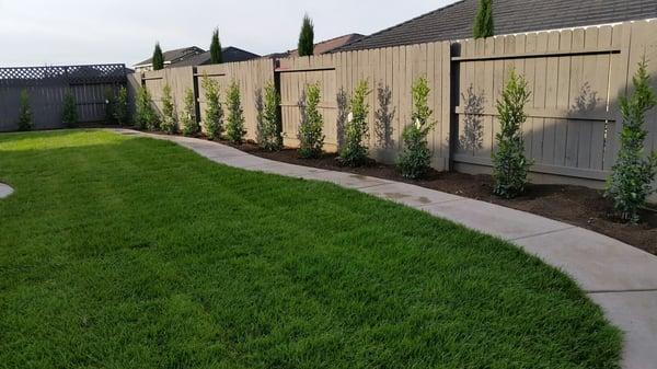 Great concrete work and beautiful yard, exactly what I wanted.