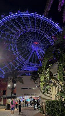 The Orlando Eye