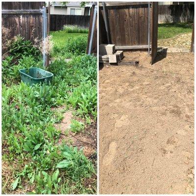 Removed weeds took area down to the dirt so the home owner can treat the ground and or add sod or seed.