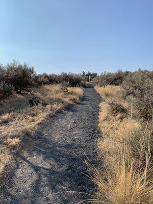 Path to the vista point looking towards the parking area.