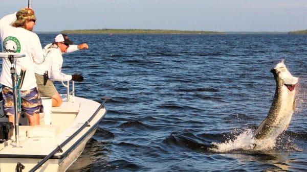 Florida Sportfishing Charters