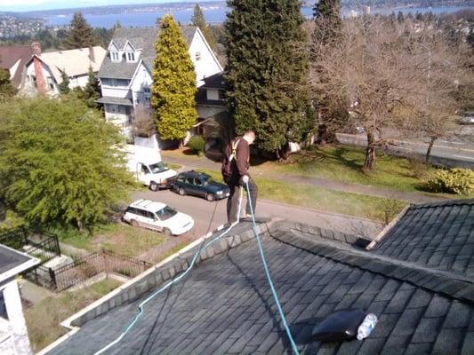 Gutter & roof cleaning