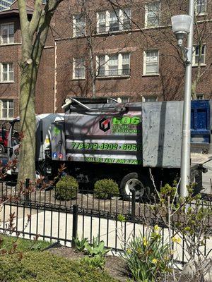 Apartment clean out in Lakeview Chicago. After load of furniture we also removed carpet!