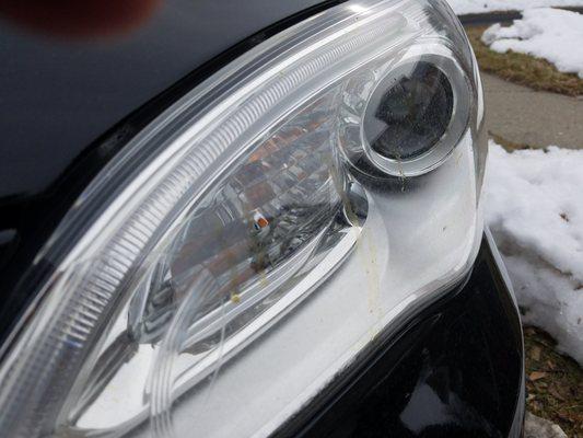 Oil on headlight