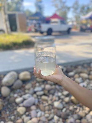 Coconut Water