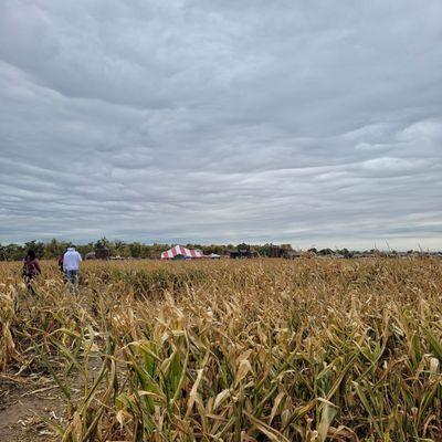 10.16.22 - Corn Maze